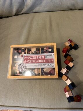 The Puzzle Chest Wooden Brain Teaser Set - Multicolor